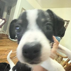 Meet your Posher, Kylee